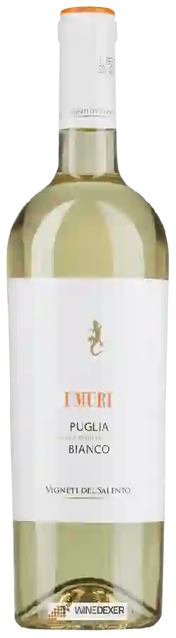 Winery Vigneti del Salento - Puglia I Muri Bianco Winery Vigneti del Salento - Puglia I Muri Bianco