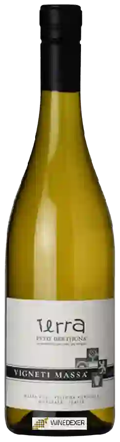 Winery Vigneti Massa - Terra Petit Derthona Winery Vigneti Massa - Terra Petit Derthona