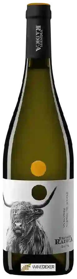 Winery Vigneti Radica - Pecorino Winery Vigneti Radica - Pecorino