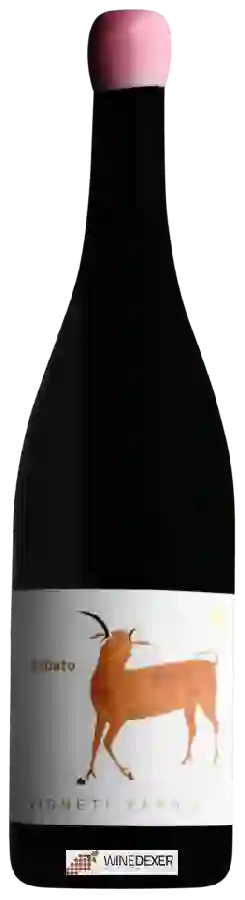 Winery Vigneti Tardis - Sabato