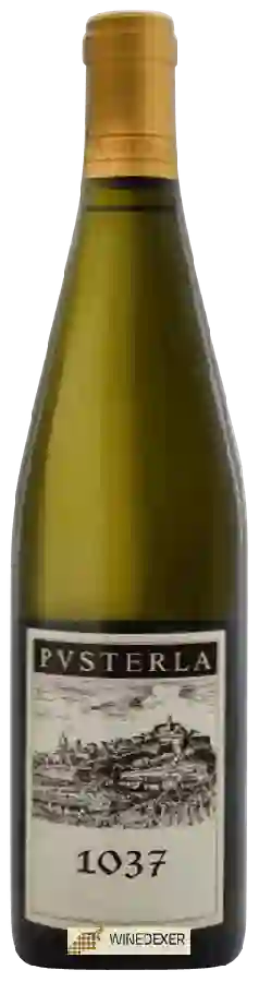 Winery Vigneto Pvsterla - 1037 Bianco Winery Vigneto Pvsterla - 1037 Bianco