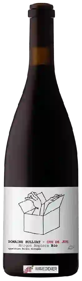Vignobles Bulliat - Cou de Jus Morgon Amphore