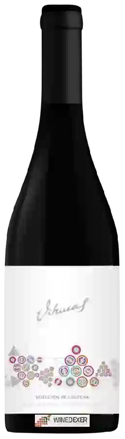 Winery Vihucas - Selección de Cosecha