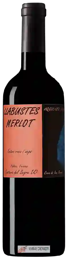 Winery Vila Corona - Llabustes Merlot