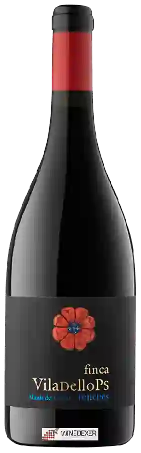 Winery Viladellops - Tinto