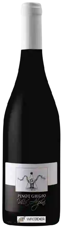 Winery Villa Alpini - Pinot Grigio Winery Villa Alpini - Pinot Grigio