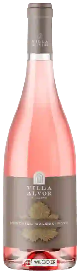 Winery Villa Alvor - Moscatel Galego - Roxo Winery Villa Alvor - Moscatel Galego - Roxo