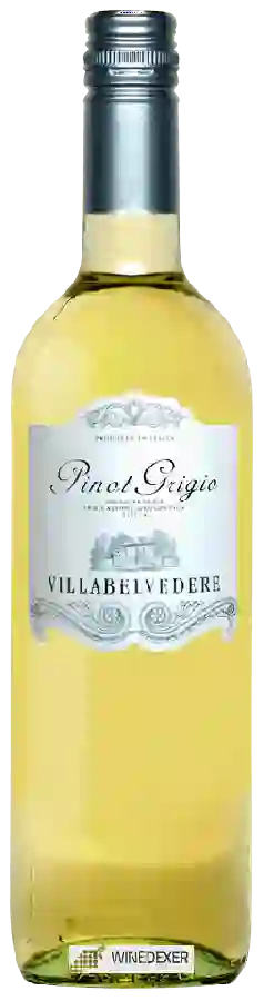 Winery Villa Belvedere - Pinot Grigio Winery Villa Belvedere - Pinot Grigio