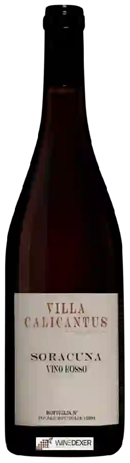 Winery Villa Calicantus - Soracuna Rosso