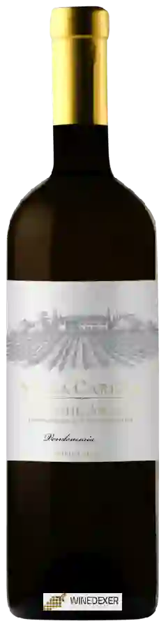 Winery Villa Carena - Langhe Arneis Winery Villa Carena - Langhe Arneis