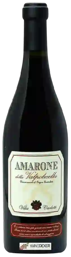 Winery Villa Carlotti - Amarone della Valpolicella