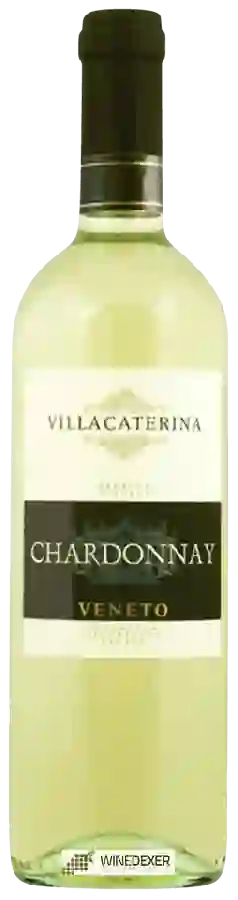Winery Villa Caterina - Chardonnay