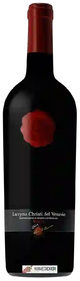 Winery Villa Dora - Forgiato Lacryma Christi del Vesuvio Rosso Winery Villa Dora - Forgiato Lacryma Christi del Vesuvio Rosso