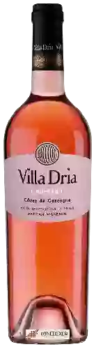 Winery Villa Dria - Rosé
