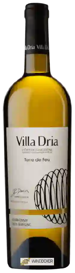Winery Villa Dria - Chardonnay - Gros Manseng (Terre de Feu)