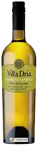Winery Villa Dria - Colombard - Sauvignon (Côtes Sauvage)