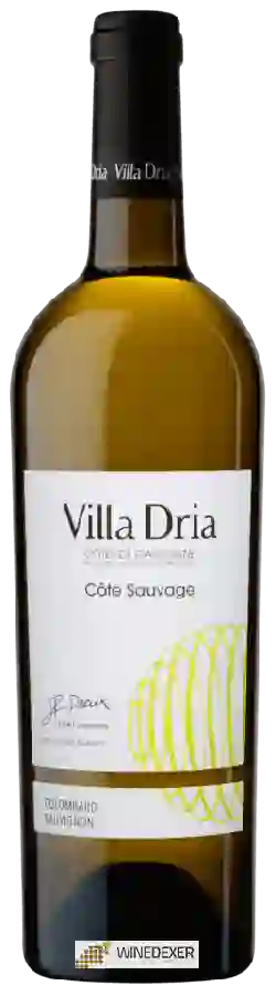 Winery Villa Dria - Colombard - Sauvignon (Côtes Sauvage) Winery Villa Dria - Colombard - Sauvignon (Côtes Sauvage)