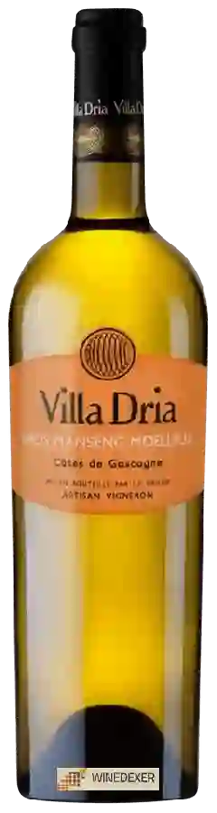 Winery Villa Dria - Gros Manseng Moelleux