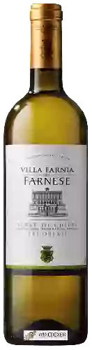 Winery Villa Farnia di Farnese - Terre di Chieti Pecorino