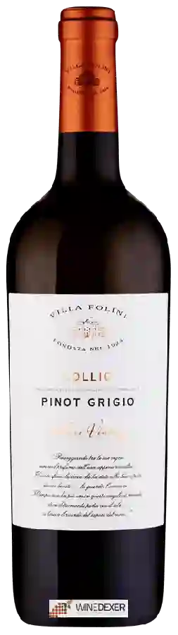 Winery Villa Folini - Pinot Grigio Winery Villa Folini - Pinot Grigio
