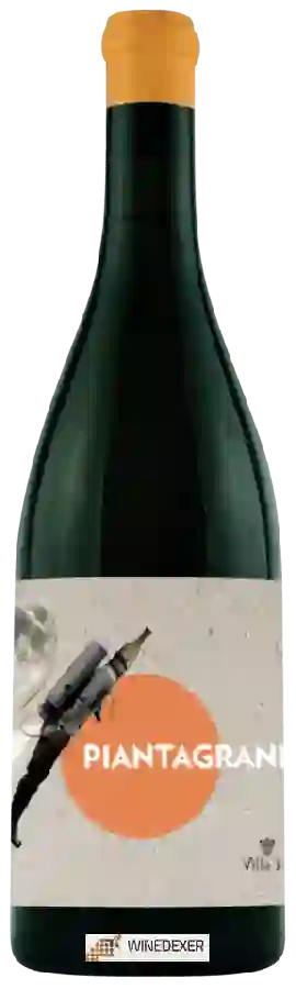 Winery Villa Job - Piantagrane