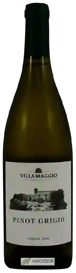 Winery Villa Maggio - Pinot Grigio Winery Villa Maggio - Pinot Grigio