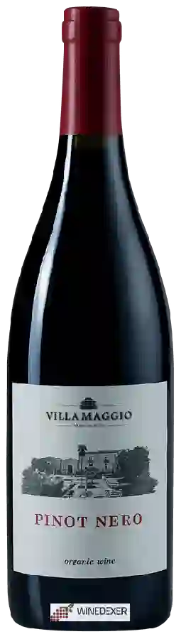 Winery Villa Maggio - Pinot Nero