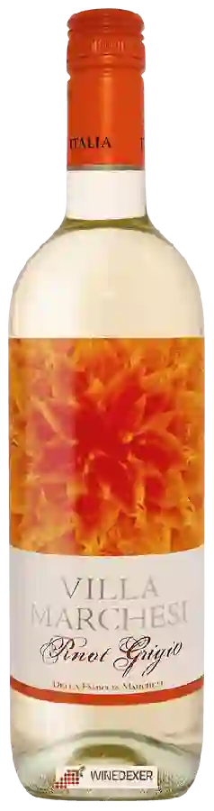 Winery Villa Marchesi - Pinot Grigio