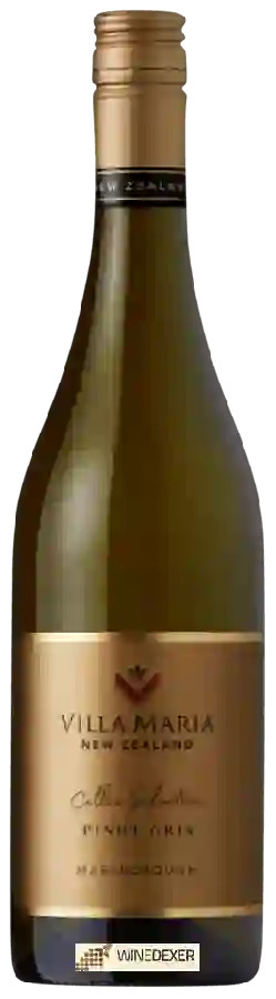 Winery Villa Maria - Cellar Selection Pinot Gris