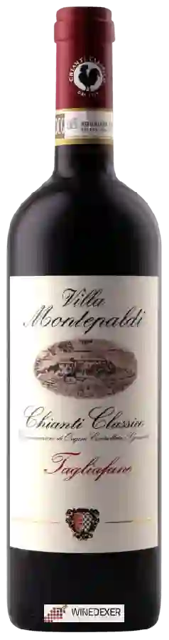 Winery Villa Montepaldi - Tagliafune Chianti Classico