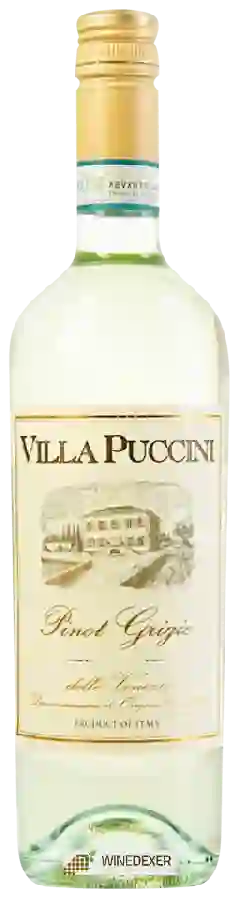 Winery Villa Puccini - Pinot Grigio delle Venezie Winery Villa Puccini - Pinot Grigio delle Venezie