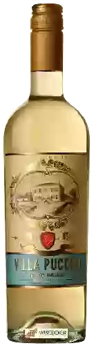 Winery Villa Puccini - Pinot Grigio