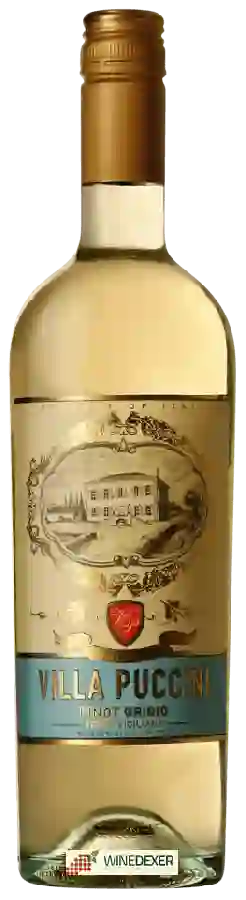 Winery Villa Puccini - Pinot Grigio Winery Villa Puccini - Pinot Grigio