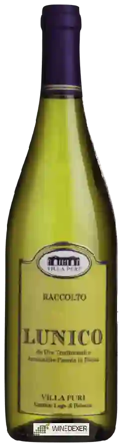 Winery Villa Puri - Lunico Raccolto