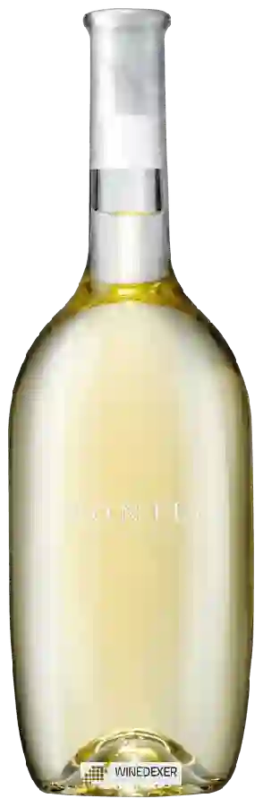 Winery Villa Sparina - Montej Bianco