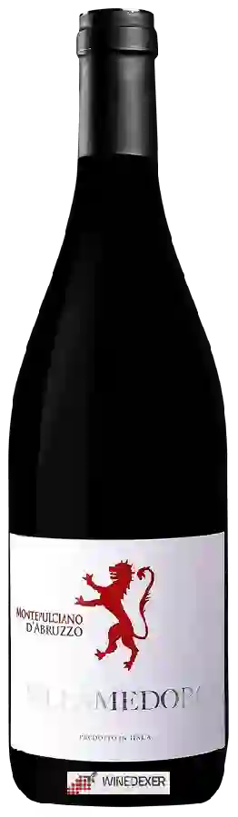 Winery Villamedoro - Montepulciano d'Abruzzo Winery Villamedoro - Montepulciano d'Abruzzo