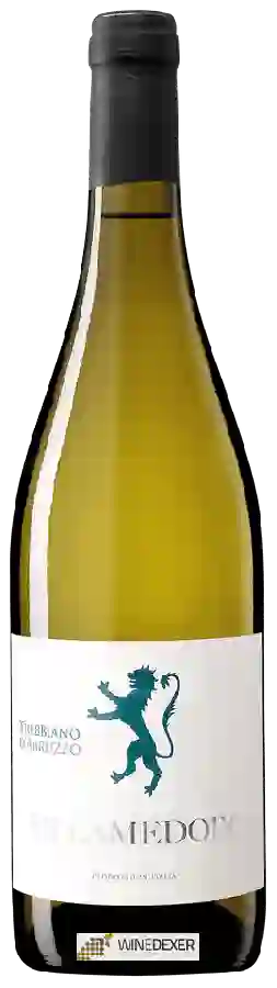 Winery Villamedoro - Trebbiano d'Abruzzo Winery Villamedoro - Trebbiano d'Abruzzo