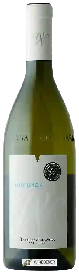 Winery Villanova - Sauvignon