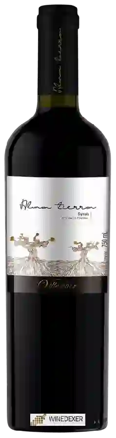Winery Villaseñor - Alma Tierra Syrah Winery Villaseñor - Alma Tierra Syrah