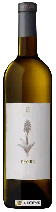 Winery Vin de Liège - Orchis Winery Vin de Liège - Orchis