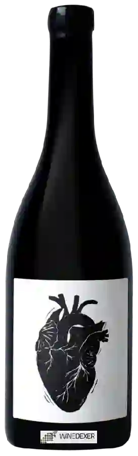 Winery Vin Noé - Amour Vache