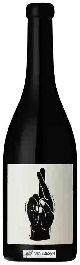 Winery Vin Noé - Julienas Winery Vin Noé - Julienas