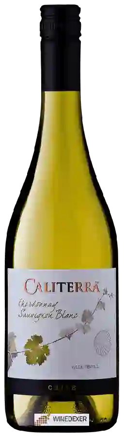 Winery Caliterra - Chardonnay - Sauvignon Blanc