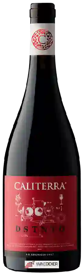 Winery Caliterra - DSTNTO Winery Caliterra - DSTNTO