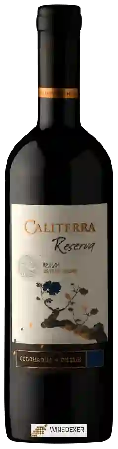 Winery Caliterra - Reserva Merlot