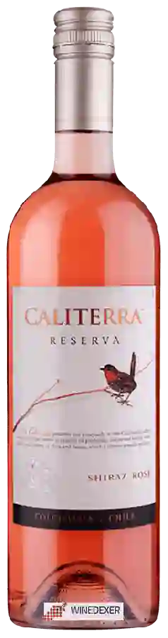 Winery Caliterra - Reserva Shiraz Rosé