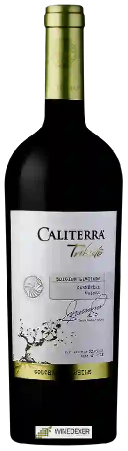 Winery Caliterra - Tributo Carménère - Malbec Edición Limitada