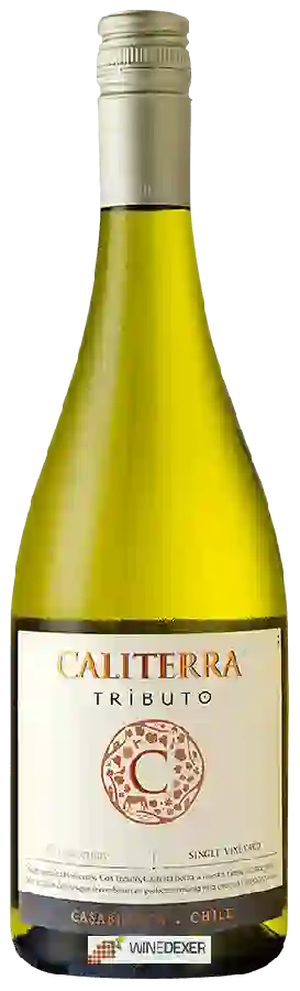 Winery Caliterra - Tributo Chardonnay Winery Caliterra - Tributo Chardonnay