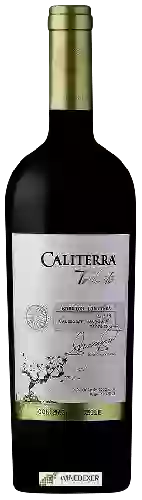 Winery Caliterra - Tributo Shiraz - Cabernet Sauvignon - Viognier Edición Limitada