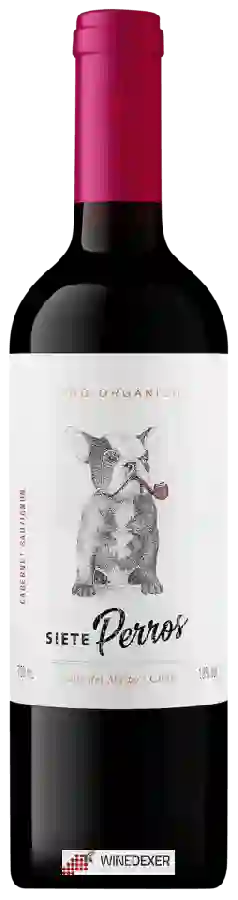 Winery Viña Casalibre - Siete Perros Cabernet Sauvignon